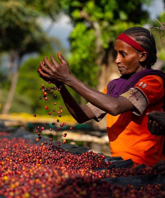 Western Ethiopia